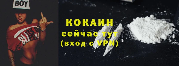 винт Липки