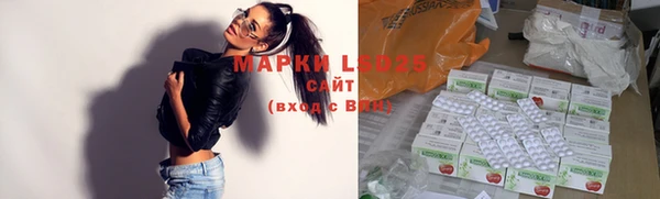 винт Липки