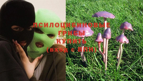 мдма Лихославль