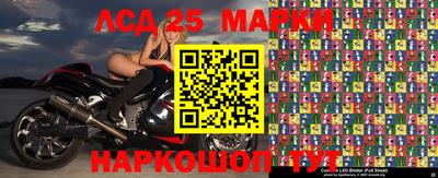 шишки Аргун
