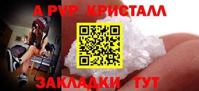 шишки Аргун