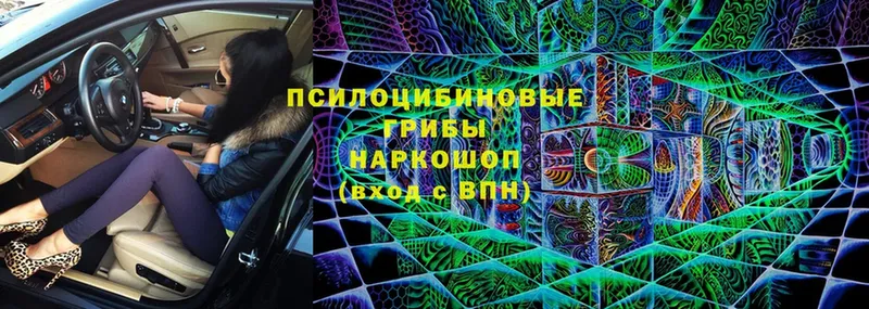 Псилоцибиновые грибы MAGIC MUSHROOMS  Балаково 