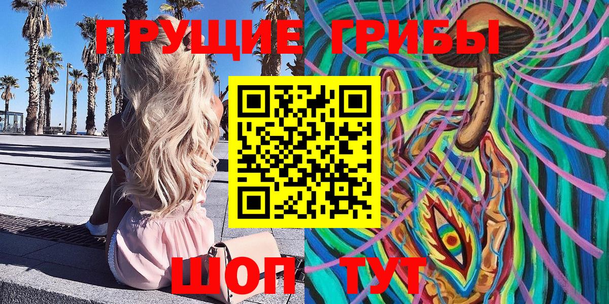 Галлюциногенные грибы Psilocybe Балаково
