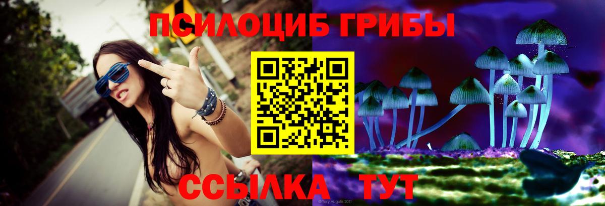 Галлюциногенные грибы GOLDEN TEACHER  Галлюциногенные грибы Psilocybine cubensis  Балаково  цена наркотик  Вход с VPN 